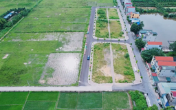 Biện pháp ngăn chặn đấu giá rồi bỏ cọc