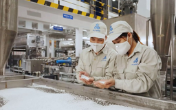 Thúc đẩy sản xuất sạch hơn trong doanh nghiệp | Phóng sự | 19/10/2025