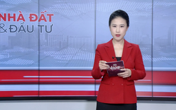Bản tin Nhà đất và đầu tư | 19/10/2025