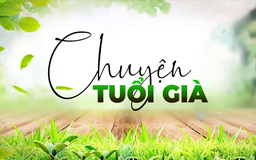 Bệnh đáy mắt thường gặp ở người già | Chuyện tuổi già | 19/10/2025