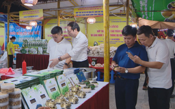 Hà Nội đẩy mạnh quảng bá sản phẩm OCOP, làng nghề