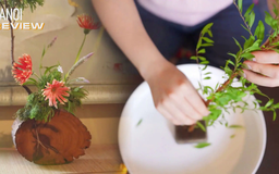 Trải nghiệm nghệ thuật cắm hoa Ikebana | HANOI Review | 16/10/2025