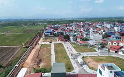 Giá trúng đấu giá đất ở Hát Môn cao nhất 117 triệu đồng/m²