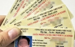 Sử dụng bằng lái giả khi tham gia giao thông | Sống và làm việc theo pháp luật | 19/10/2025