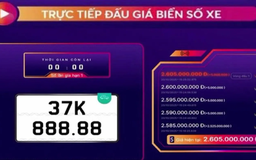 Biển số 37K-888.88 lập kỷ lục trúng đấu giá hơn 2,6 tỷ