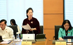 Giá đất, giá nhà làm nóng nghị trường Quốc hội