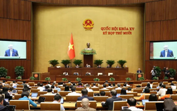 Hợp đồng dài hạn sẽ thay thế biên chế suốt đời