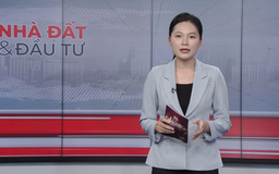 Bản tin Nhà đất và đầu tư | 23/10/2025