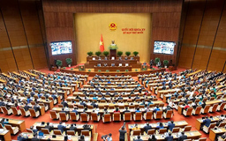 Đưa tinh thần Nghị quyết 66 vào giám sát quyền lực