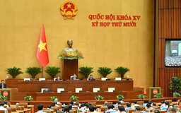 Hỗ trợ doanh nghiệp phục hồi, bảo vệ quyền lợi người gửi tiền