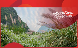 Đi tìm những mùa lau