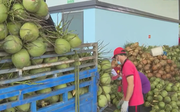 Đẩy mạnh liên kết sản xuất, tiêu thụ sản phẩm nông sản
