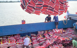 Hợp tác thương mại gạo Việt Nam - Singapore