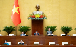 Bổ sung nguyên tắc bảo vệ quyền con người
