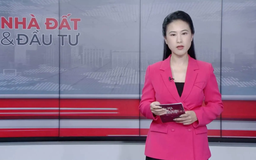 Bản tin Nhà đất và đầu tư | 27/10/2025