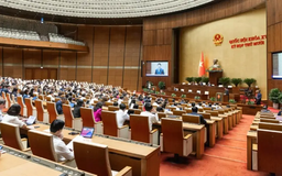 Hỗ trợ khai thác thương mại Quyền Sở hữu trí tuệ