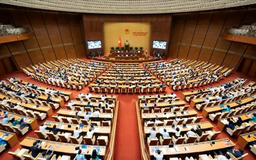 62,97% chất thải rắn sinh hoạt được xử lý bằng chôn lấp