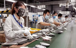 Tháo gỡ khó khăn cho doanh nghiệp xuất nhập khẩu Hà Nội