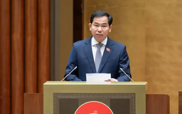 Không đánh đổi môi trường lấy phát triển kinh tế đơn thuần