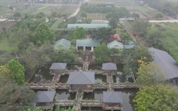 Hà Nội phát triển mô hình du lịch nông nghiệp