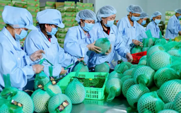 Nhiều ngành được hưởng lợi khi Mỹ xem xét thuế 0%