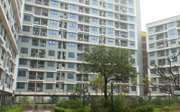 Nhu cầu nhà thuê tăng cao, nguồn cung vẫn khan hiếm