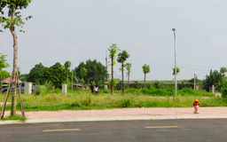 Thị trường đất đấu giá chững lại sau thời kỳ sốt nóng