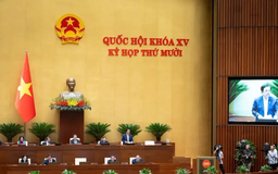 Đột phá về thể chế để bảo vệ môi trường bền vững