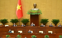 Hôm nay (28/10), Quốc hội thảo luận Báo cáo về môi trường