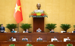 Đại biểu Quốc hội kiến nghị chuyển đổi mô hình tăng trưởng