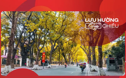 Mùa thu về trên phố