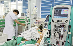 Nữ công nhân nguy kịch do nhiễm xoắn khuẩn vàng da