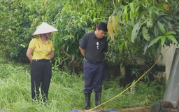 Hà Nội giám sát phòng dịch sau mưa bão