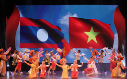 Khai mạc Tuần văn hóa Lào tại Việt Nam