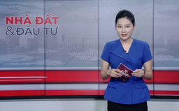 Bản tin Nhà đất và đầu tư | 30/10/2025