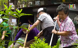 Phụ nữ Giảng Võ hành động vì môi trường xanh | Người tốt quanh ta | 01/11/2025