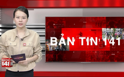 Bản tin 141 | 31/10/2025