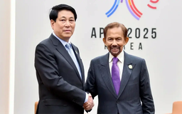 Phát triển hơn nữa quan hệ Việt Nam – Brunei