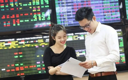 Minh bạch thông tin để thu hút dòng vốn bền vững