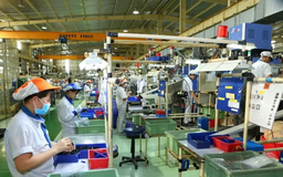 Khai thác nguồn lực để phát triển kinh doanh bền vững