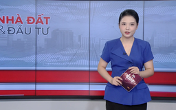 Bản tin Nhà đất và đầu tư | 05/10/2025