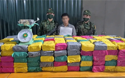 Quảng Trị: Bắt giữ hai đối tượng cùng 500 kg ma túy
