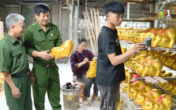 Tấm gương cựu chiến binh làm kinh tế giỏi | Người tốt quanh ta | 06/10/2025