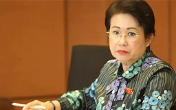 Loạt lãnh đạo, nguyên lãnh đạo tỉnh Đồng Nai bị khởi tố