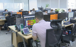VN-Index phục hồi gần 50 điểm