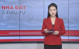 Bản tin Nhà đất và đầu tư | 06/10/2025