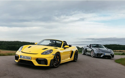 Porsche Cayman và Boxster tiếp tục sử dụng động cơ đốt trong