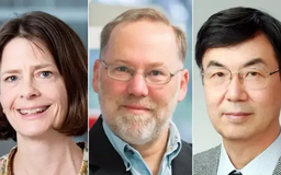 Ba nhà khoa học giành giải Nobel Y học 2025