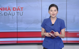 Bản tin Nhà đất và đầu tư | 07/10/2025