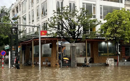 Môi giới đồng loạt quảng cáo 'nhà không ngập' sau mưa lũ
